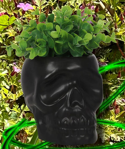 Black Skull Plant Pot