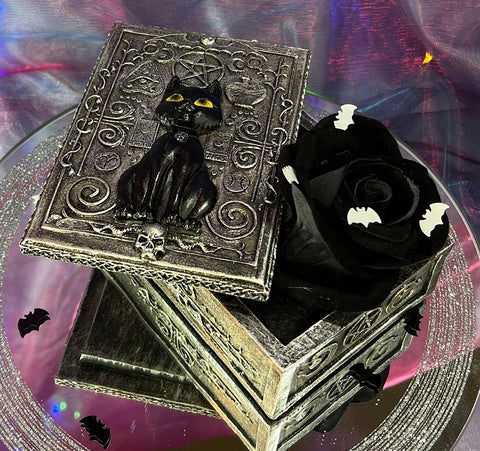 Nemesis Now Familiar Spell Cat Box