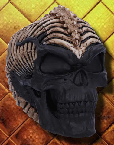 James Ryman Spine Head Skull