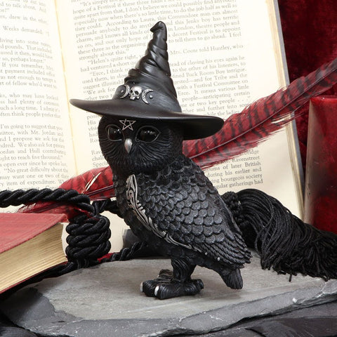  Nemesis Now Owlocen Witches Hat Occult Owl Figurine, 13.5cm,  Black : Home & Kitchen