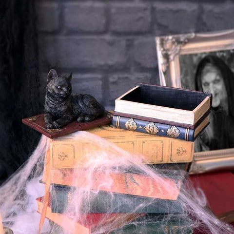 Salems Spells Cat Box Open