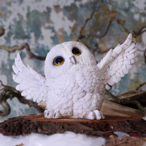 Snowy Delight Owl