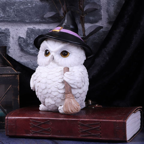 Snowy Magic Witch Owl