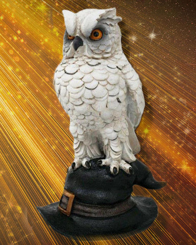 Soren Owl on Hat