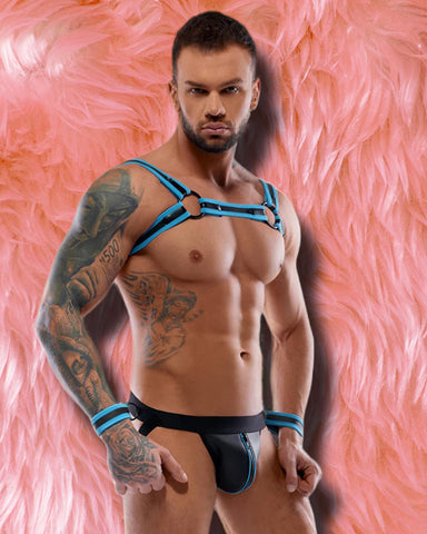 Svenjoyment Harness Set