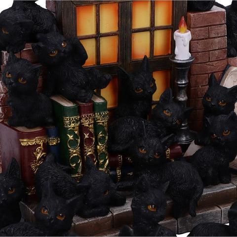 The Witches Litter Cat Display