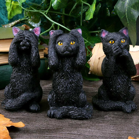 Three Wise Felines Cats