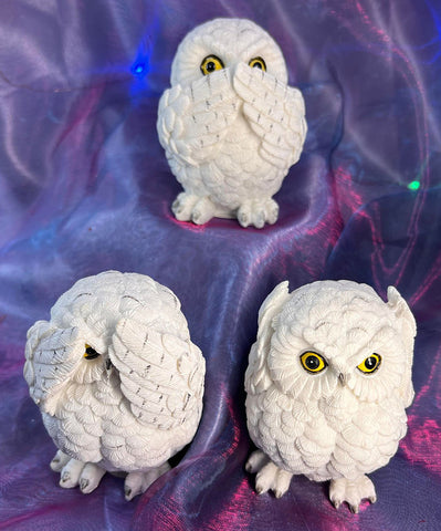 Three Wise Owls