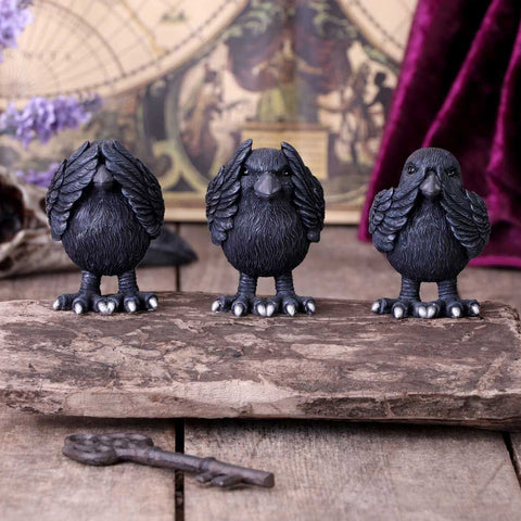 Three Wise Ravens