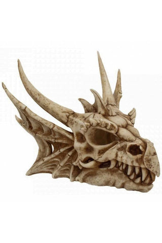 Featured image of post Dragon Skull Wall Mount / Here&#039;s how i made mine.