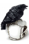 Alchemy Raven Skull Miniture | Angel Clothing