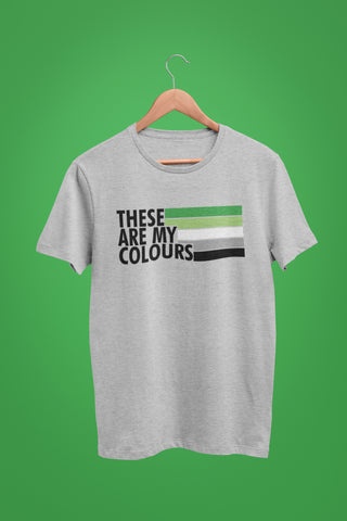 These Are My Colours Aromantic Pride Shirt