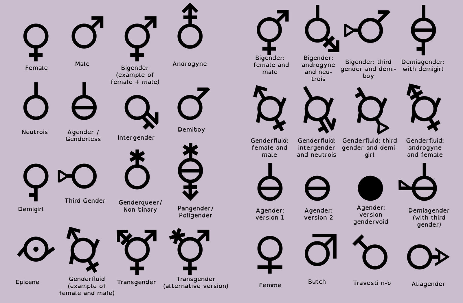 A Short Guide to Genderfluid Identity