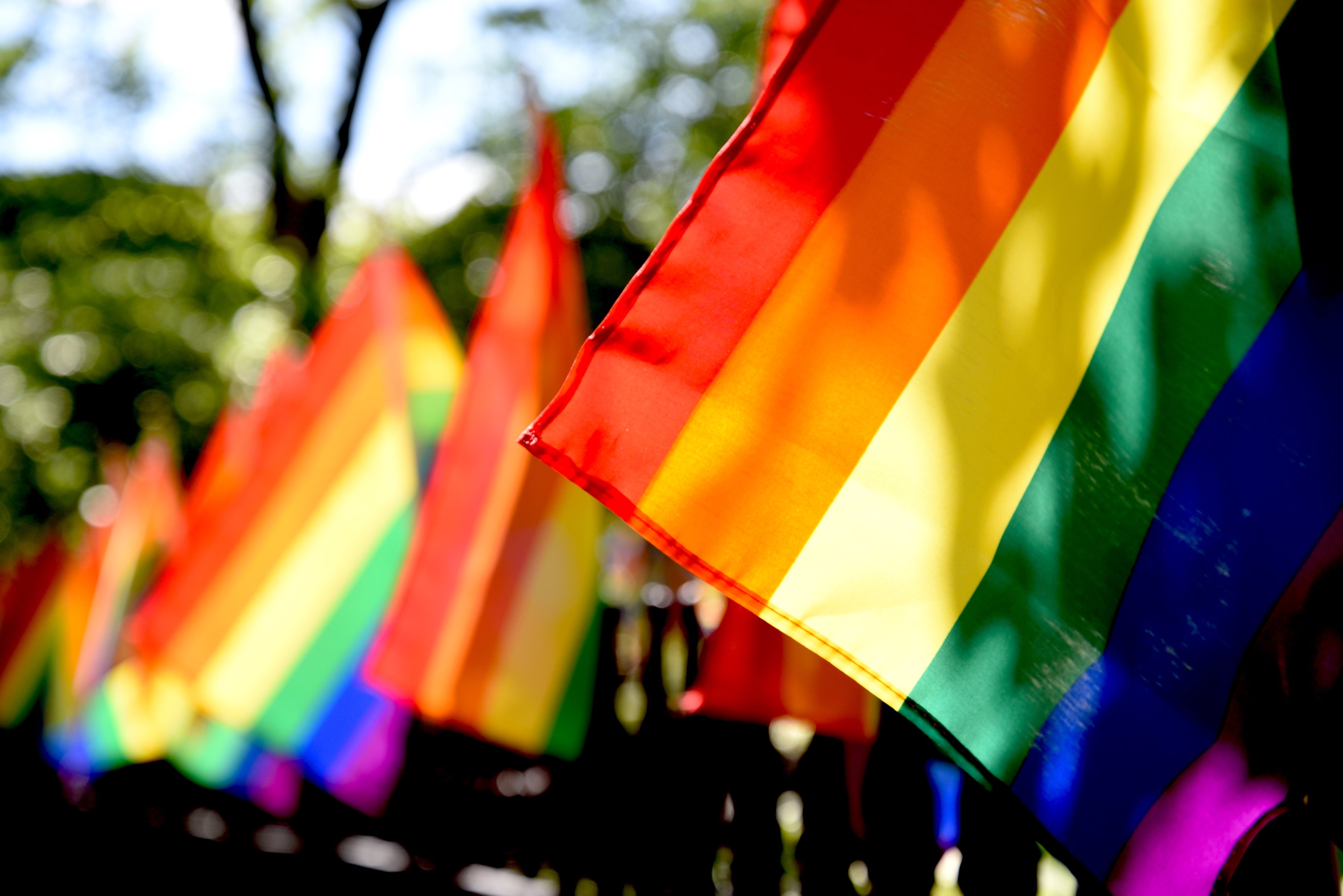 A row of rainbow LGBT pride flags.
