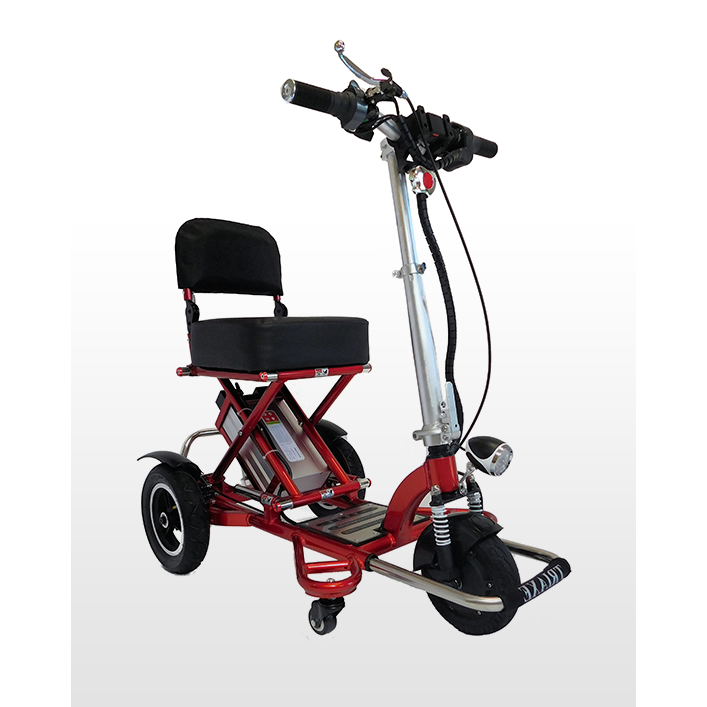 Triaxe Sport Scooter