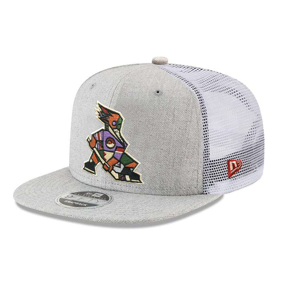 tucson roadrunners hat