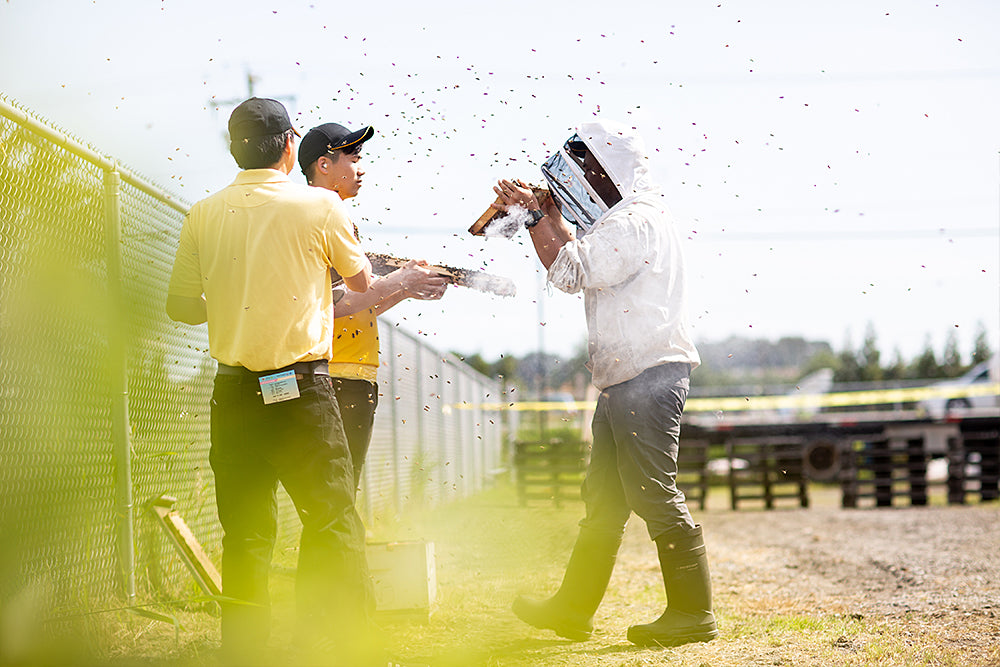 Bees and blueberries festival recap photos