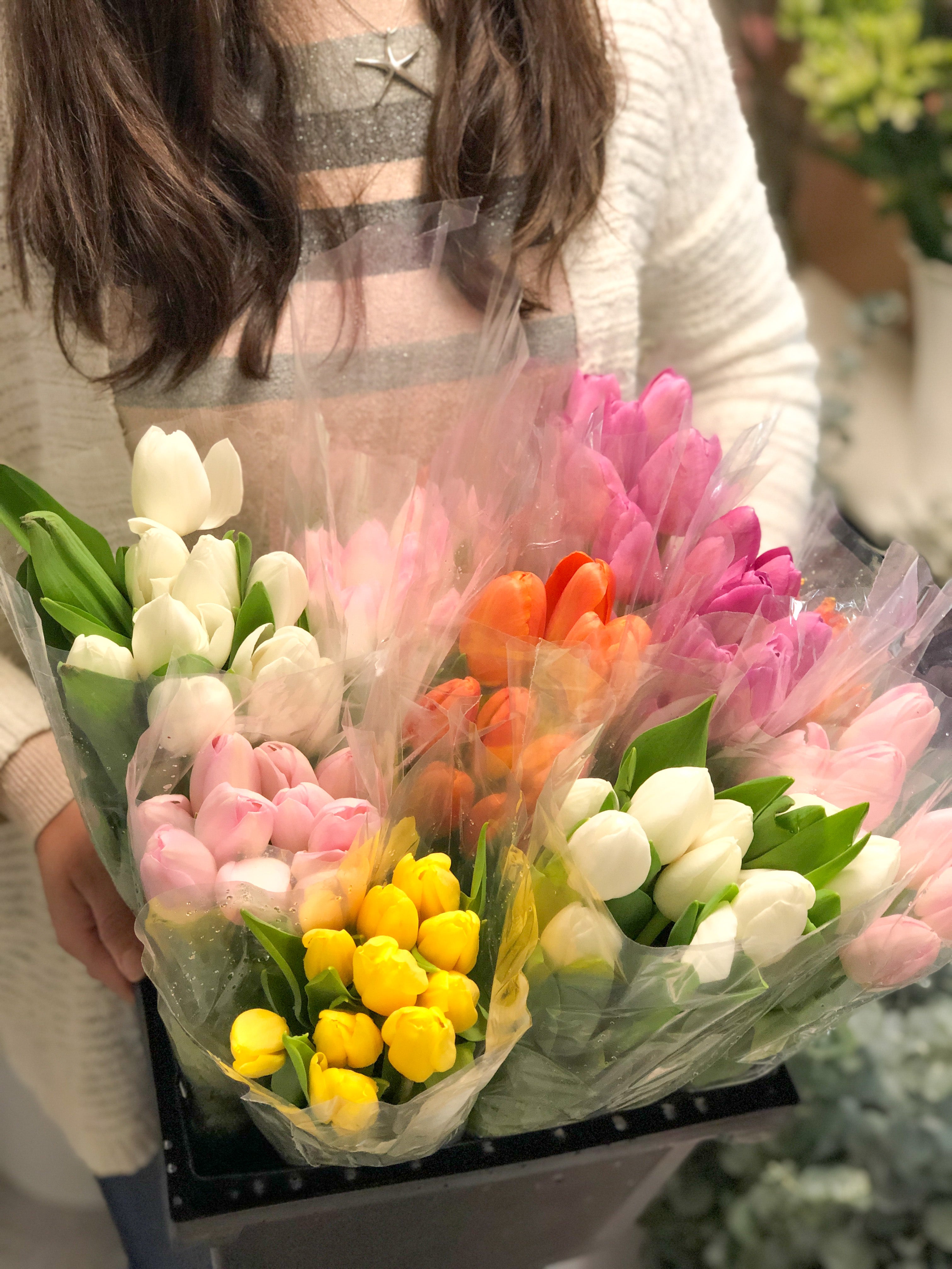 Tulipán – Sun Flowers PR