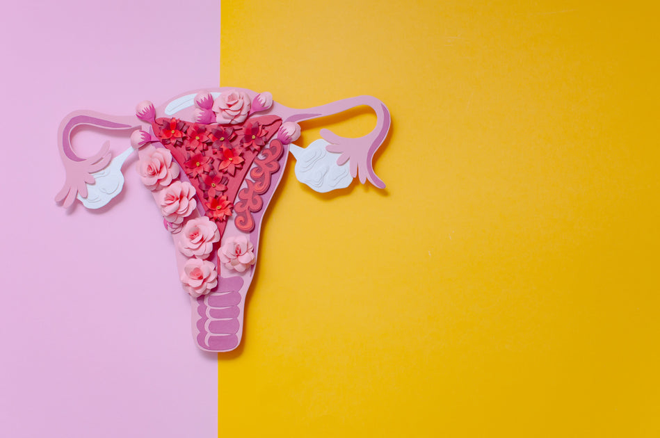 everything-you-need-to-know-about-your-period-plus-some-interesting