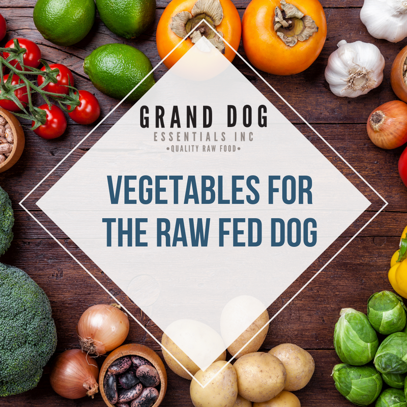 can you give dogs raw vegetables