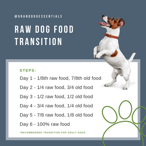 Raw Dog Food Transition