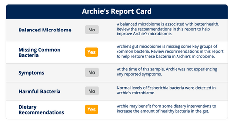 Archies Report Card from Doggy Biome shows that he is missing common bacteria