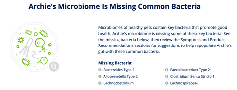 A list of the common bacteria that is missing in Archies gut microbiome