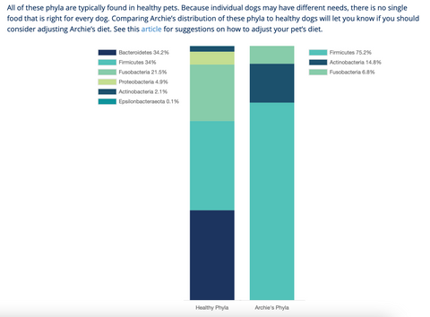 Archies distribution of Phyla bacteria