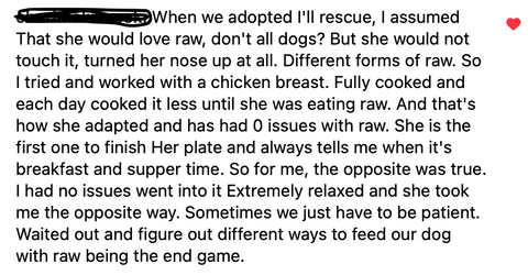 When we adopted I'll rescue, I assumed That she would love raw, don't all dogs? But she would not touch it, turned her nose up at all. Different forms of raw. So I tried and worked with a chicken breast. Fully cooked and each day cooked it less until she was eating raw. And that's how she adapted and has had 0 issues with raw. She is the first one to finish Her plate and always tells me when it's breakfast and supper time. So for me, the opposite was true. I had no issues went into it Extremely relaxed and she took me the opposite way. Sometimes we just have to be patient. Waited out and figure out different ways to feed our dog with raw being the end game.