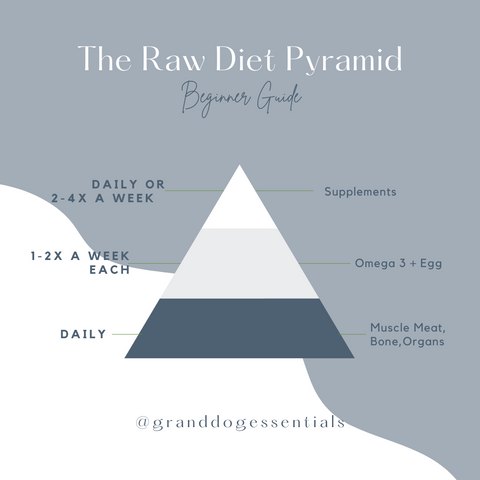 Raw Dog Food Pyramid for Beginners