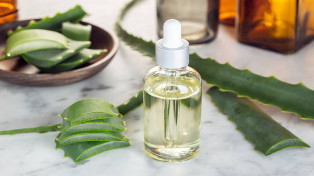 Aloe vera with natural oils for moisturizing skin