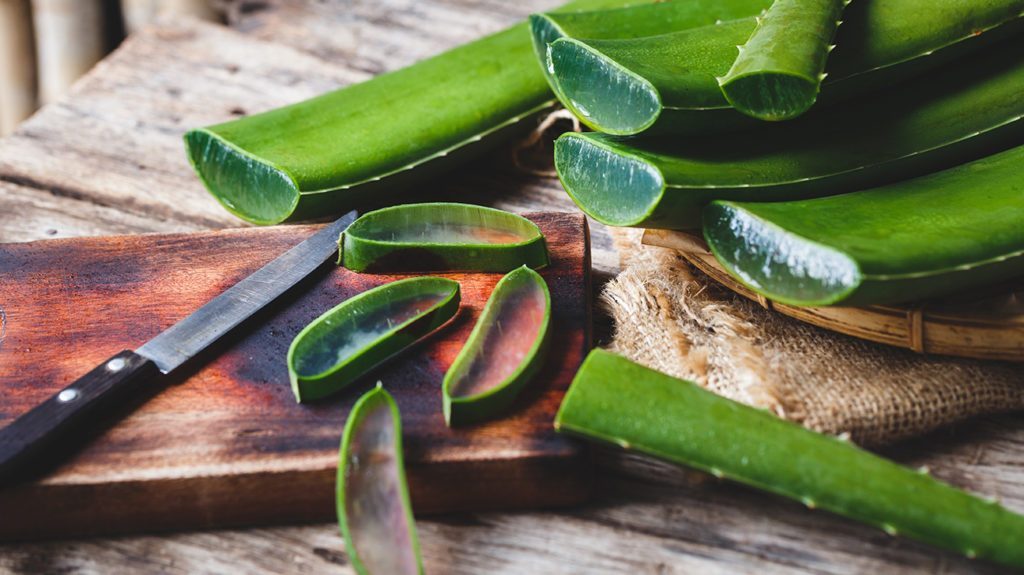 Cut aloe vera and apply on burn area