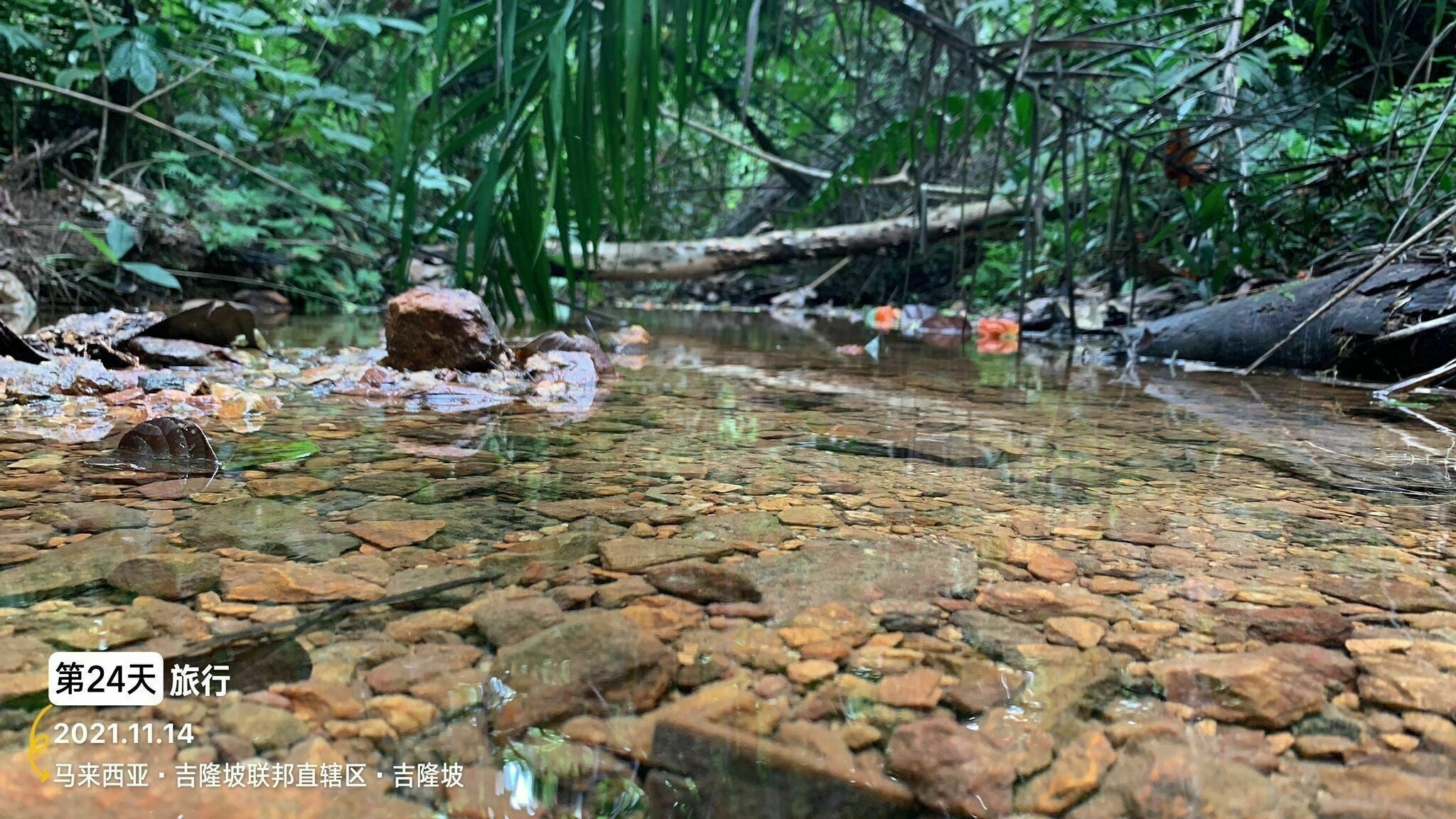 Bukit Gasing River