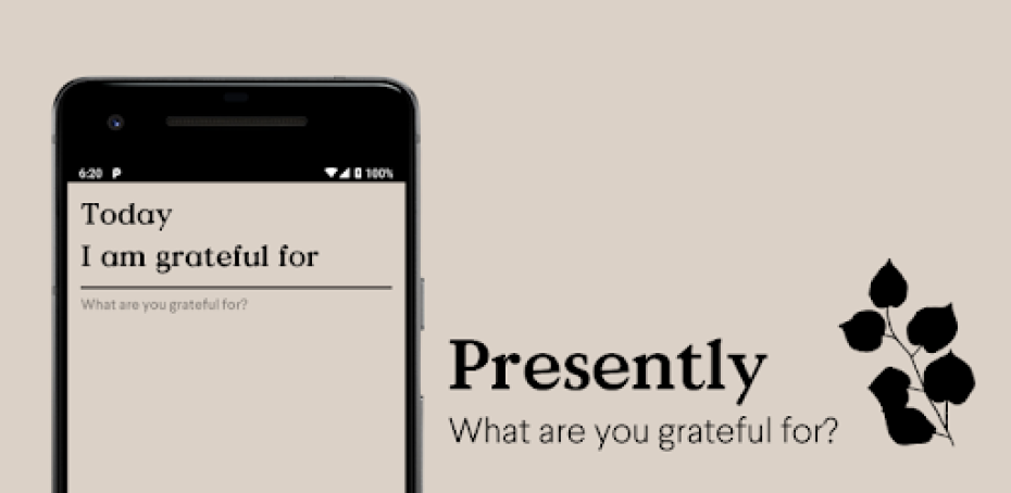 Presently the Gratitude Journal