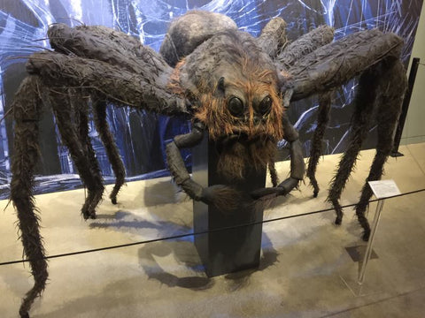 Aragog Harry Potter