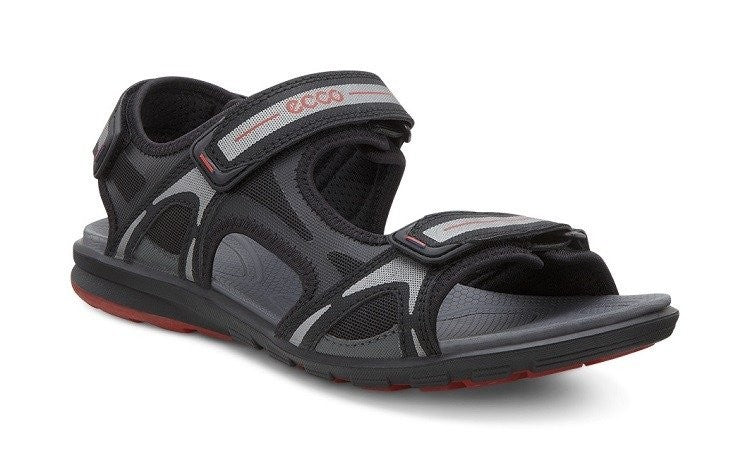 Ecco Cruise Sandal - Men iShoes.ca