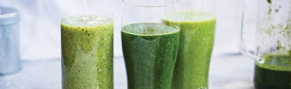 lean green protein shake