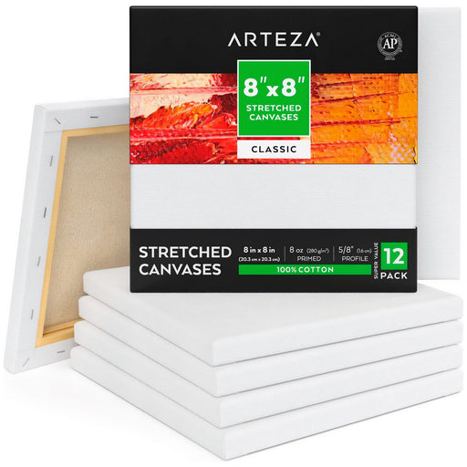 4 x 6 Mini Professional Primed Stretched Canvas 12 Pack