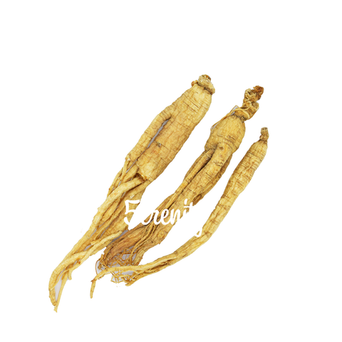 Ginseng In Traditional Chinese Medicine