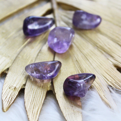 Amethyst Tumbled Crystals