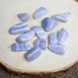 Blue Lace Agate Tumbled Crystals - Muse + Moonstone