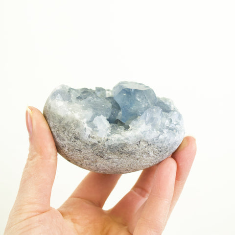 Celestite Geode - Muse + Moonstone