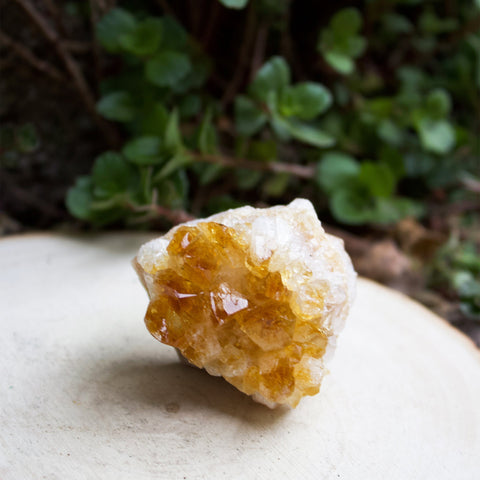 Citrine Cluster - Small