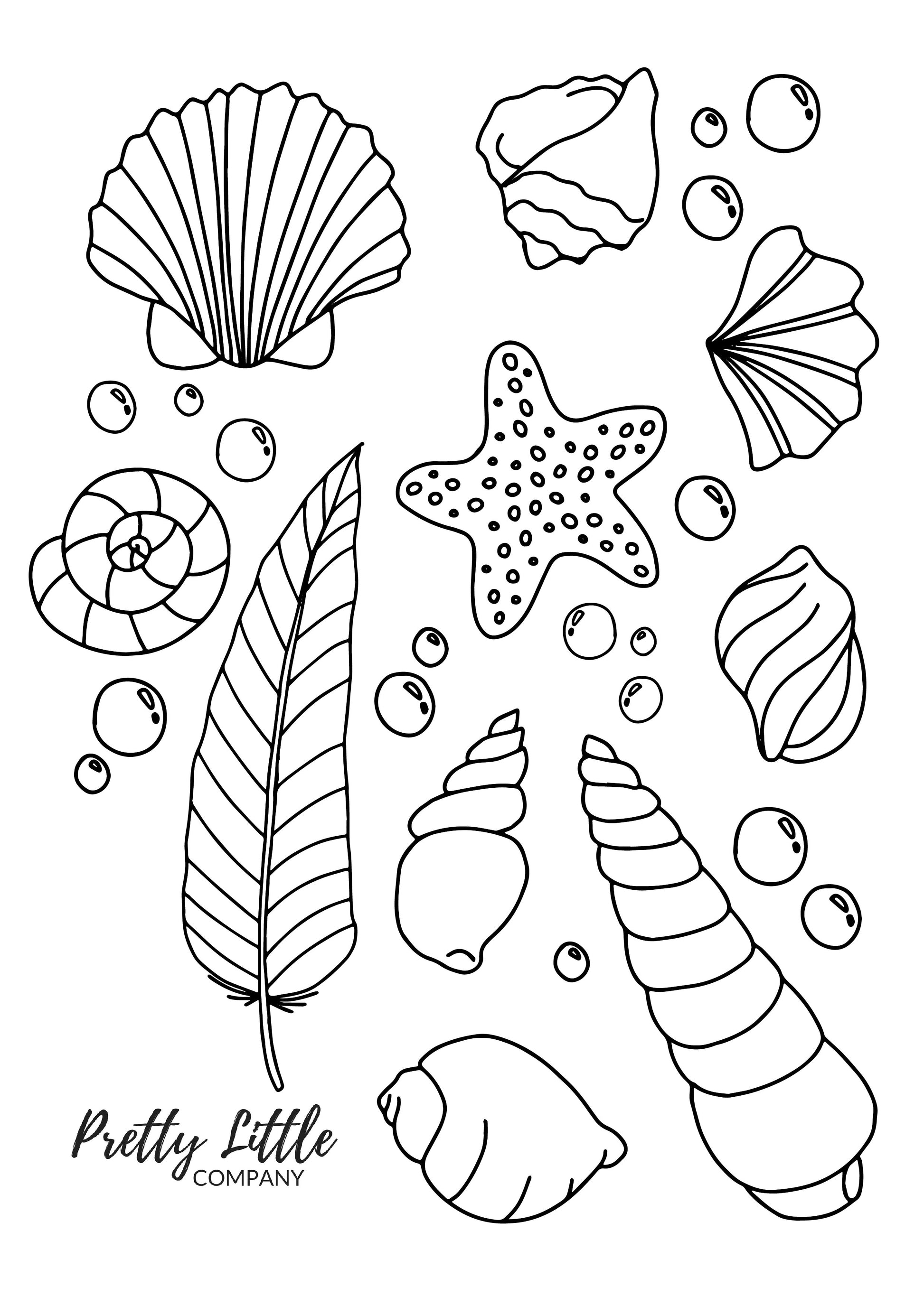 coloring pages of seashells