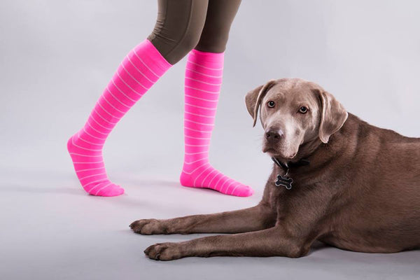 pink compression socks with dog