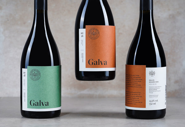 Eye-Catching Wine Bottle Designs to Inspire Your Own Brand