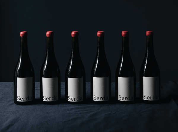 Eye-Catching Wine Bottle Designs to Inspire Your Own Brand