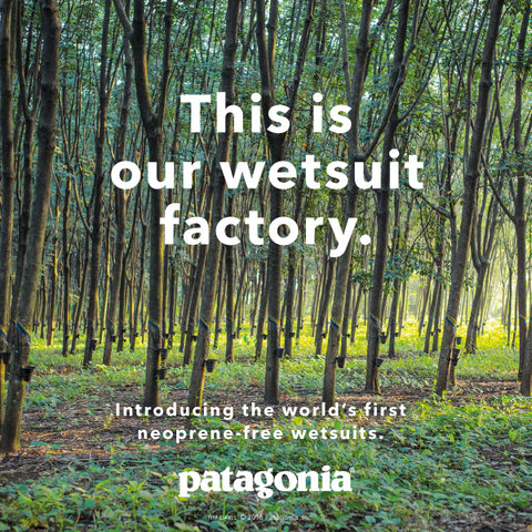 Patagonia Rubber trees to make Yulex | Source: Boardsport Source