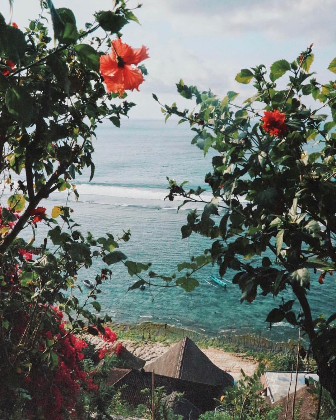 Romantic view thru the hibiscus trees on the surf spot in Padang-Padang