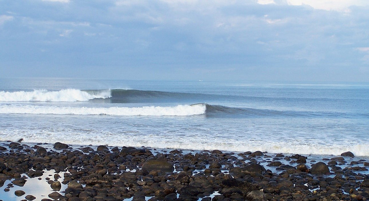 Long perfect waves for longboarder surfers